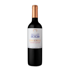 Luna Benegas Cabernet Sauvignon