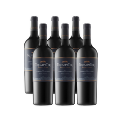 Rutini Wines Trumpeter Cabernet Sauvignon x Caja de 6