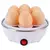 Fogão Elétrico Multifuncional Egg Steamer - Mini Caldeira de Ovos - comprar online