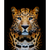 Leopardo II