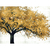 Gold and White Tree I