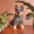 Miniatura de Blue Heeler Sentado