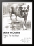 Quadro decorativo Alice in Chains - The Dog