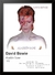 Quadro decorativo David Bowie - Aladdin Sane