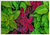 Quadro decorativo Natureza 08 - comprar online