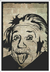 Quadro decorativo Personalidade Albert Einstein - comprar online