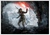 Quadro decorativo Tomb Raider 05 - comprar online