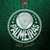 Camisa Palmeiras Puma I 24/25 Masculina na internet