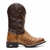 Bota Texana Masculina Brown Bull