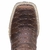 Bota Texana Masculina Big Sea - Ellest Boots - Bota Texanas 