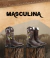 Banner de Ellest Boots - Bota Texanas 