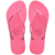 Chinelo Havaianas Slim Glitter Neon - Chineleiro's