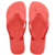 Chinelo Havaianas Top - comprar online