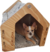 Pet House "Montessori" - (Letras Gamo) - comprar online