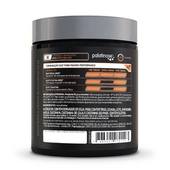 Palatinose 400g - Dux Nutrition - comprar online