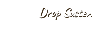 DropSusten Shop Sustentável