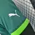 Camisa Puma Palmeiras I Home 2023/24 Jogador Masculina - VERDE