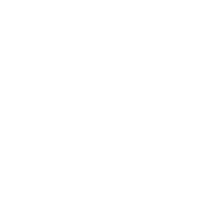 Wish Festinha