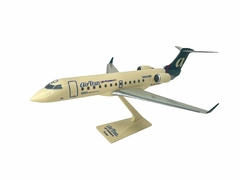 CRJ200 Airtran Jet Connect 1100