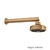 Chuveiro Acqua Plus Com Tubo Gold Matte Deca 1990.GL.CT.MT - comprar online