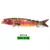 Ccltba-swimbait multi-articulado para a pesca da truta, enguia, peixinho, plást - Loja Mundo da Pesca