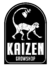 Filtros Tips Kaizen en internet