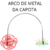 REPOSIÇÃO: Arco de Metal para Capota de Carrinho Tutti Baby Cinza