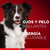 PURINA ONE ADULTOS MEDIANO Y GRANDE POLLO Y CARNE - PLANET PAWS