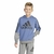 Casaco de Moletom Juvenil Adidas Original Importado