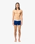 Pacote Pack Conjunto de 3 cuecas Lacoste Trunks Boxer Strech - loja online