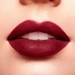 Labial Mate Studio Look