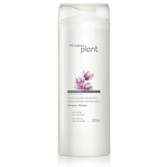 shampoo Plant - comprar online