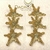 Clase Aretes Estrellas de Mar