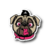 Perro Pug 1