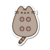 Pusheen 1