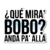 Que mira´bobo?