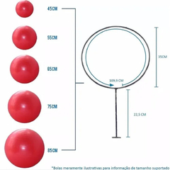 Suporte De Parede P/ Bola Suiça - loja online