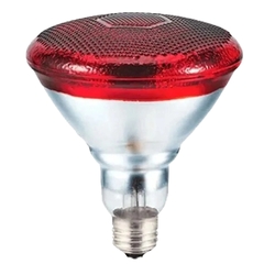 Suporte Fisioterapia + lâmpada Infravermelho 250w 110v