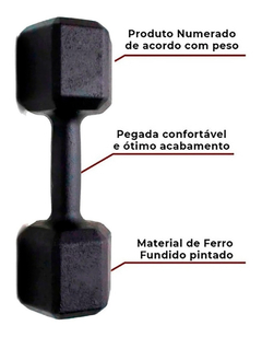 Kit Caneleira 5kg+halter 04kg+colchonete+roda+kettlebell - comprar online