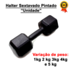 Halter Sextavado Pintado 1 ao 5 Kg "Unidade" - Treino em Casa Musculação Academia Crossfit Funcional Peso Para Braço