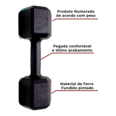 Halter Sextavado Pintado 1 ao 5 Kg "Unidade" - Treino em Casa Musculação Academia Crossfit Funcional Peso Para Braço - comprar online