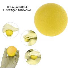 Bola de Lacrosse para Liberação Miofascial 65 mm na internet