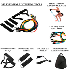 Kit extensor + Tatames + Faixas + Bands + TRX + Bola suíça - loja online