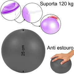 Kit Fisioterapia- Disco de Equilibrio + Bola 65cm + Overball - Cheers Fitness