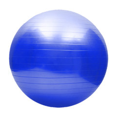 Bola Yoga Suiça Pilates Abdominal Gym Ball 55cm