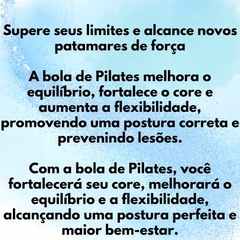 Imagem do Bolas Suiça 65 Cm Pilates Ginástica Yoga