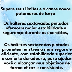 Halter Sextavado Pintado 1 ao 5 Kg "Unidade" - Treino em Casa Musculação Academia Crossfit Funcional Peso Para Braço Pe - cheers Fitness