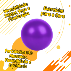 Kit 10 Overball 25 Cm Pilates Fisioterapia Reabilitação Yoga - comprar online