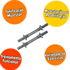 Barra Halter 40cm Maciça Cromada Com Rosca Unidade Prateado - comprar online