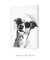 Quadro Decorativo Cool Dog na internet